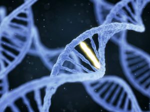 Medical Geneticist – How Does Genetic Testing Play a Role in my Health?